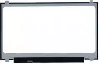 Матрица (экран) для ноутбука N173FGA-E34 rev.C1, 17.3", 1600x900 (HD+), 30 pin, светодиодная (LED), Slim (тонкая), матовая, уши вверх/вниз