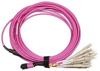 Сборка кабельная TopLan MPO-12LC, 12 волокон OM4, низкие потери, LSZH, 30 м, розовая