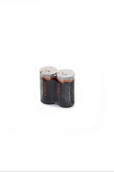 Батарейка (элемент питания) Robiton ER26500-SR2 C SR2, 1 штука