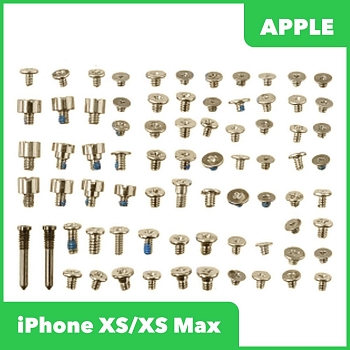Винты (нижние) для Apple iPhone XS, XS Max (2 шт.), золотой