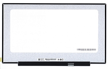 Матрица (экран) для ноутбука B173RTN03.0 17.3", 1600x900, 30 pin, LED, Slim, матовая