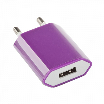 Сетевое зарядное устройство "LP" с USB выходом 1А (сиреневый, коробка)
