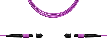 TOP-12M-12M/OM4B-45 Сборка кабельная TopLan MPO-MPO, 12 волокон OM4, тип B (Key Up-Key Up), низкие потери, LSZH, 40 м, розовая